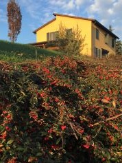foto Case Crovina